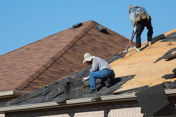 Best Roof Waterproofing  in Elsmere, DE